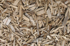 biomass boilers Cefn Canol