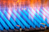 Cefn Canol gas fired boilers